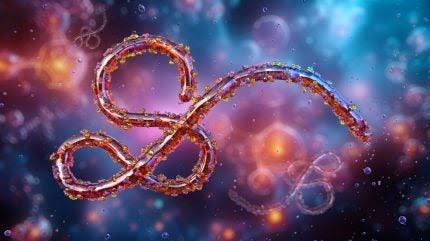 WHO intensifies Ebola-curbing efforts through drug trial and diagnostic rollout