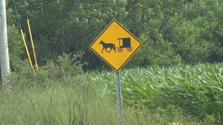 Rabid horse costing Montgomery County thousands of dollars in life-saving vaccines