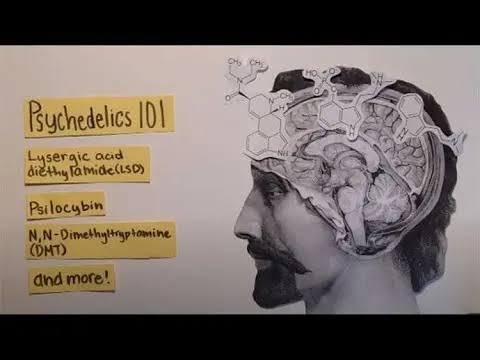 Huge Psilocybin Dose Has Incredible Effect on Elderly Dementia Patient