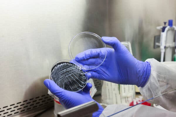 First Patient Dies of Legionnaires’ Disease After New York Outbreak