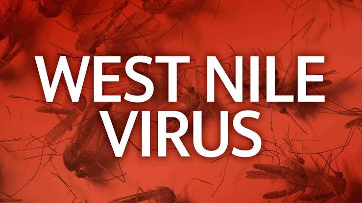 Two people in California’s Central Valley are first West Nile virus deaths of 2026
