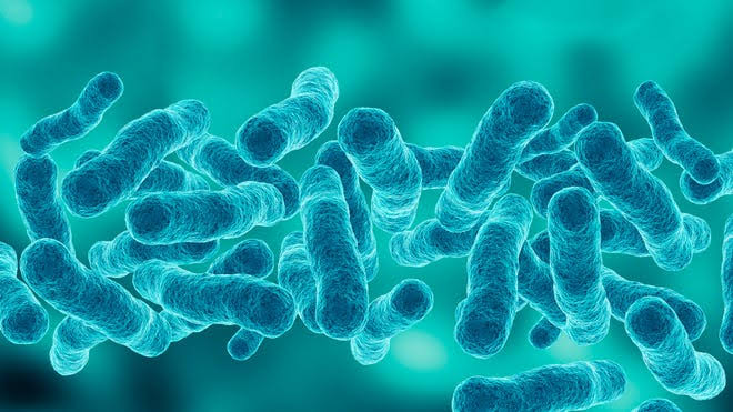 1 dead in NYC Legionnaires' disease outbreak and over 70 cases confirmed