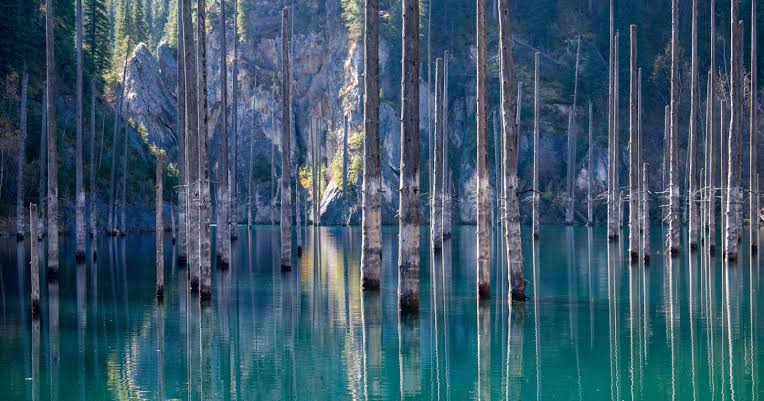 In the mountains of Kazakhstan lies a forest frozen beneath a turquoise lake — drowned more than a century ago when an earthquake reshaped the valley, leaving hundreds of ghostly tree trunks still standing upright in the water.