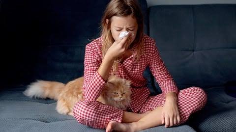 Why your hay fever symptoms are getting worse