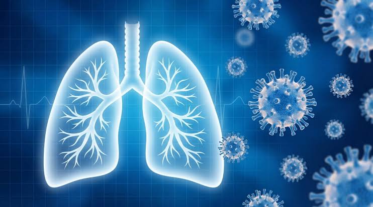 Five things to know about hantavirus from a Stanford Medicine expert