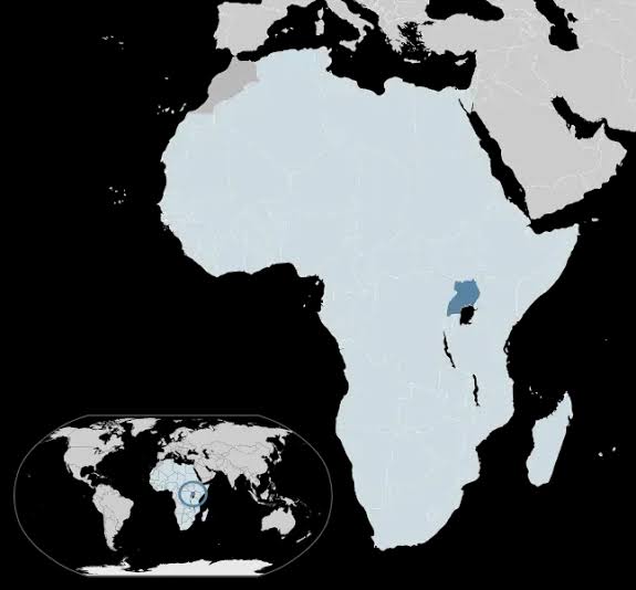 Marburg virus outbreak in Uganda?