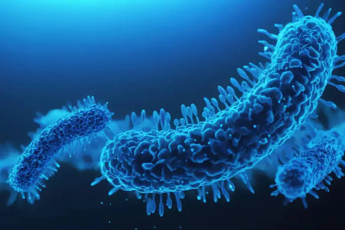 5 dead, 82 sick in Upper East Side Legionnaires’ disease outbreak