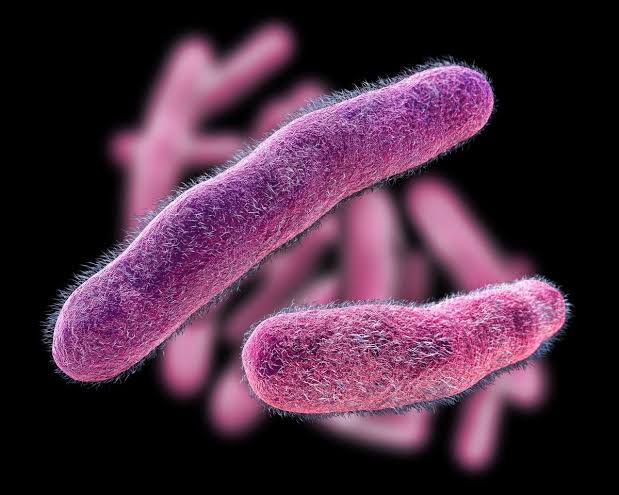 Drug-Resistant Stomach Bug On The Rise: What To Know In MD