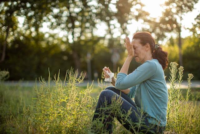 I'm an allergy sufferer in the spring — here's how I still manage to open my windows