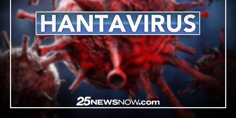 Infectious disease doctor: No Hantavirus cases in Illinois so far, but stay vigilant
