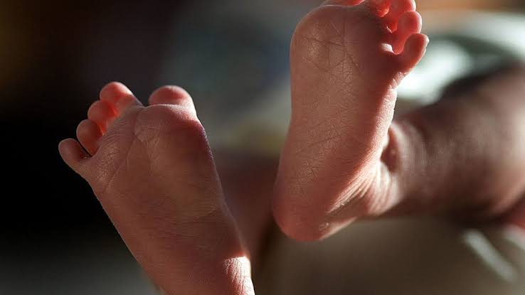 WSU study finds father’s health before conception may affect future children
