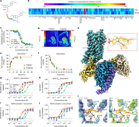 A µ-opioid receptor superagonist analgesic with minimal adverse effects