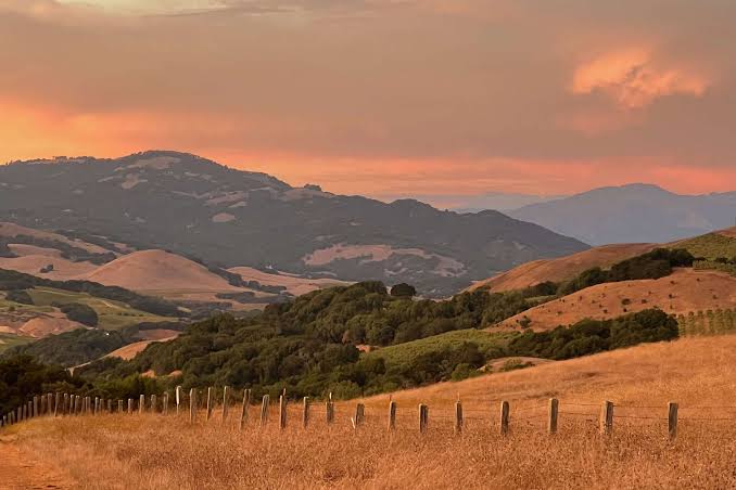 Extremely rare tick-borne disease resurfaces in California