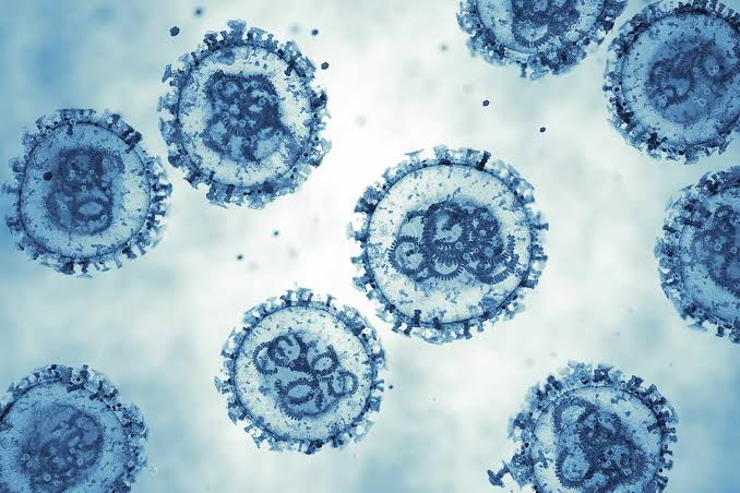 Possible Illinois Hantavirus Case Not Linked to Outbreak on Cruise Ship