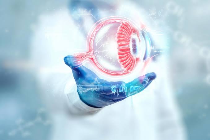 Experimental Eye Drops Restore Sight in Blind Mice