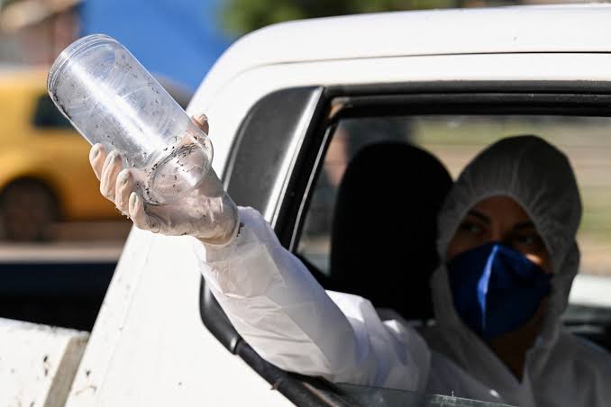 Google wants to release 32 million mosquitoes to help fight deadly disease