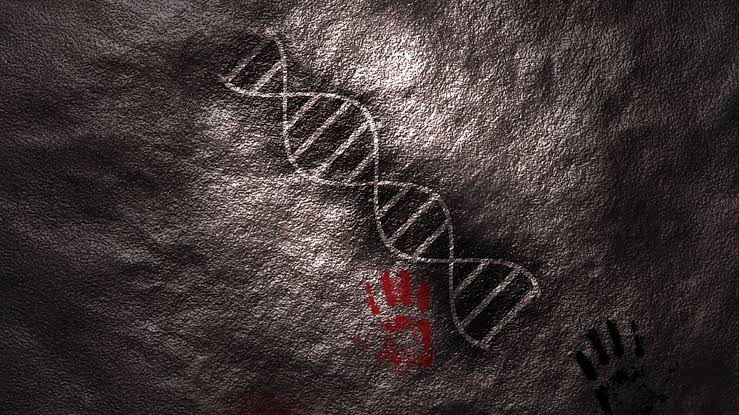 Ancient DNA shared with Neanderthals may explain human language