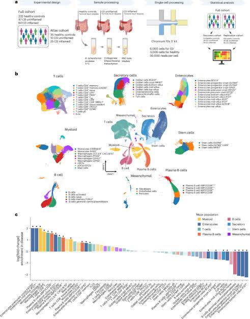 Single-cell RNA sequencing of terminal ileal biopsies identifies signatures of Crohn’s disease pathogenesis