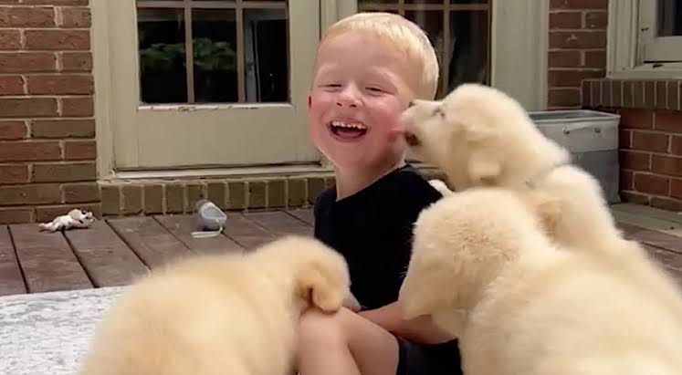 Helping Children Laugh Can Make Their Brains More Resilient and Learning Easier