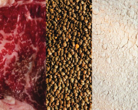 ‘People should aim to get a variety’: the pros and cons of popular protein sources