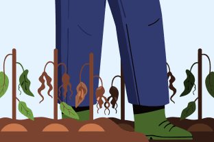 Disease, Drought, Climate Change — And the Joy of Fighting Back