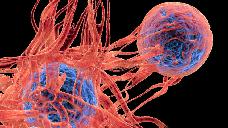Early cancer symptoms that often feel harmless: Warning signs people ignore and when to see a doctor