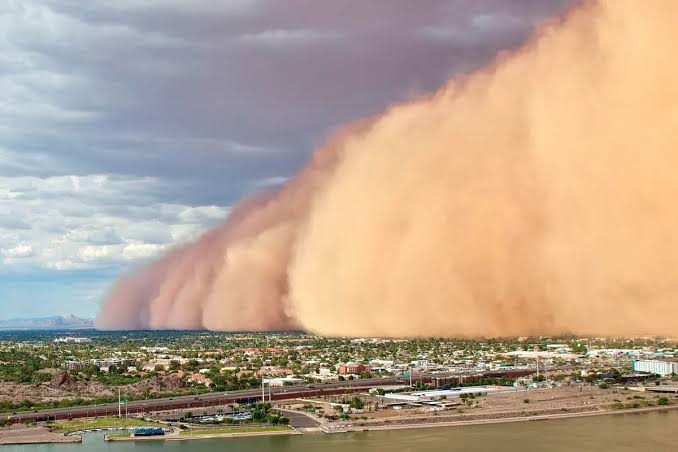 Deadly fungal storms are now sweeping the US – and spreading a disease few doctors recognise