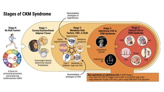ACC-AHA release first cardiovascular-kidney-metabolic syndrome guidelines