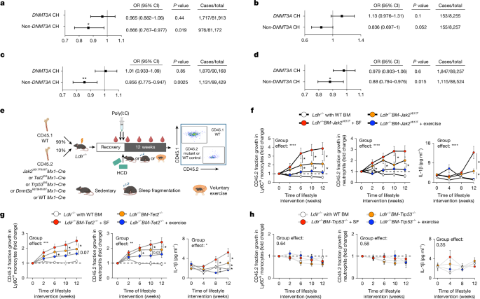 Mutation-dependent responses to sleep and exercise in clonal haematopoiesis