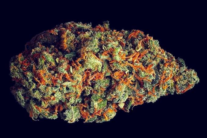 Cannabis 'Scromiting' Finally Has Its Own ER Code—and the Numbers Are Higher Than Anyone Realized