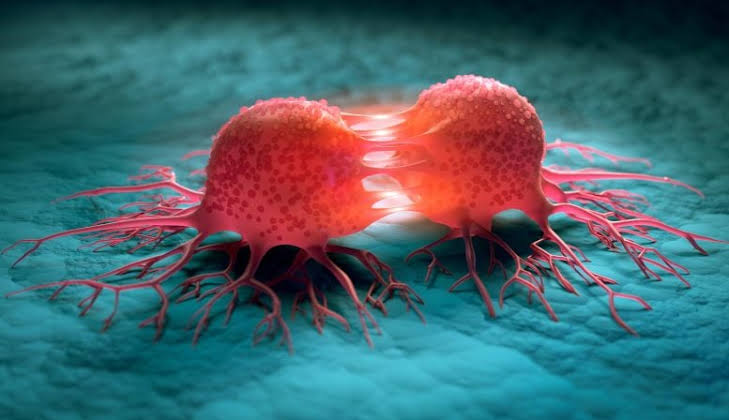 New Research Reveals Certain Fats Can Either Trigger or Suppress Cancer