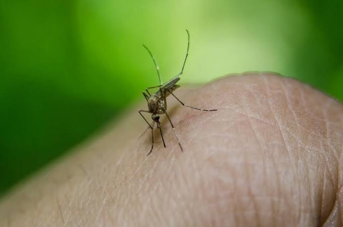 First human case of West Nile Virus confirmed in Cache County