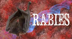 Rabies makes its return to Wyoming