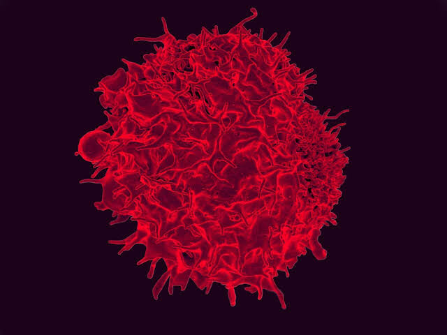Don’t Mean to Alarm You, But Researchers Just Used AI to Create the First Synthetic Viruses