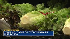 Tracing Cyclospora: NC cases not connected to Taco Bell lettuce, source of bug still TBD