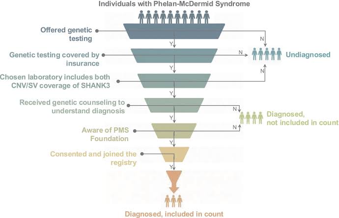 Autism research finds Phelan-McDermid syndrome may affect 1 in 7,300 people: More common than previously thought