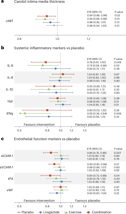 Effects of exercise and liraglutide on vascular health and inflammation during weight loss maintenance: a prespecified secondary analysis of the S-LiTE trial