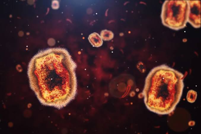 2 Researchers Accused of Trying to Smuggle Mpox Virus Through U.S. Airport