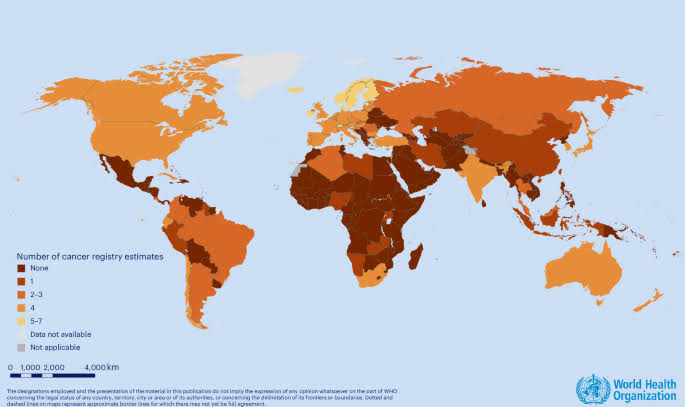 Global breast cancer survival estimates in 2017–2021 to advance the WHO Global Breast Cancer Initiative
