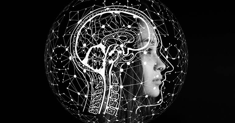 The human brain accounts for about two per cent of body weight and consumes about twenty per cent of the body's total energy every day — and that consumption barely changes whether you are solving differential equations or staring at a wall