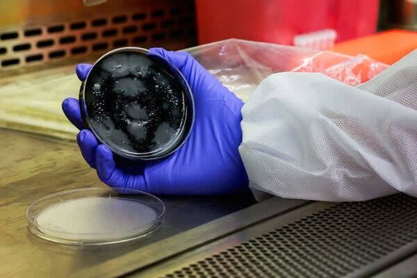 Legionnaires’ Outbreak on Upper East Side Is Over, N.Y.C. Officials Say