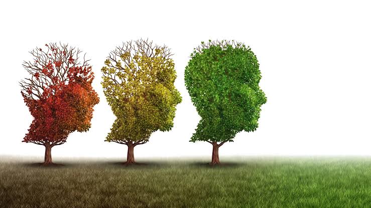 Copper drug clears toxic Alzheimer’s proteins and restores memory