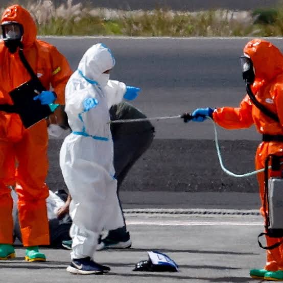 Hantavirus fears reignite as suspected case is investigated in California