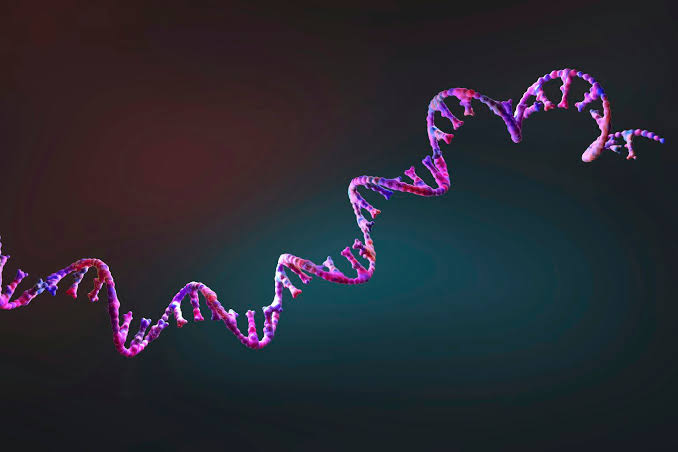 First mRNA flu shot approved by FDA bodes well for improving drugs of the future – though a few hurdles remain before mRNA can move beyond vaccines