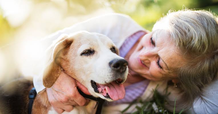 Researchers found dog owners tended to live longer — and the link was strongest for the people you might least expect: those living alone.