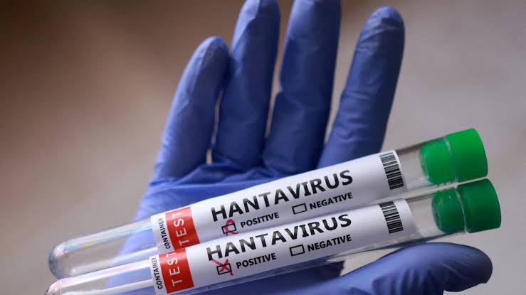 Hantavirus has no cure. Here’s where researchers are at with treatments and vaccines