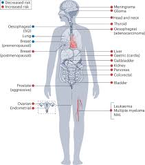 Adiposity and cancer: epidemiology, mechanisms and future perspectives