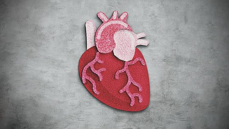 Why Does the Heart Rarely Develop Cancer?