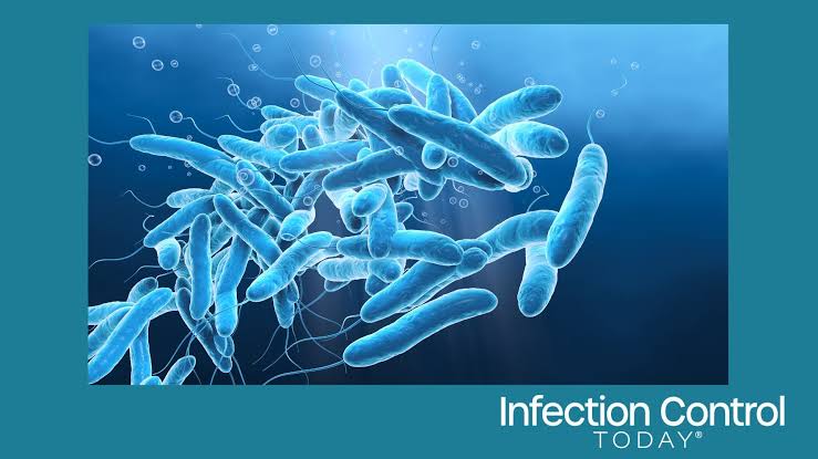 Why Legionnaires' Disease Cases Continue to Rise Despite Current Prevention Strategies
