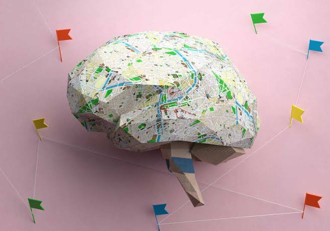 Socioeconomic factors are becoming 'biologically embedded' in children's brains